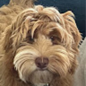 Meet your Posher, Keith